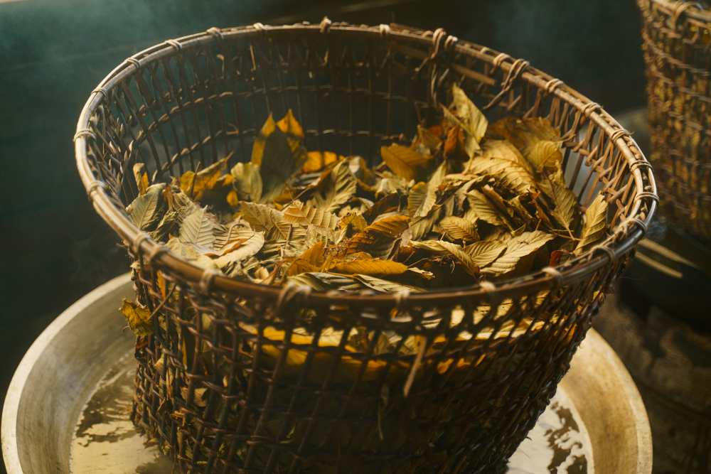 Listy červeného kratomu naskladáné sobě 